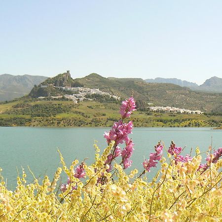Casa Rural-Apartamento El Lebrillero Zahara De La Sierra Buitenkant foto