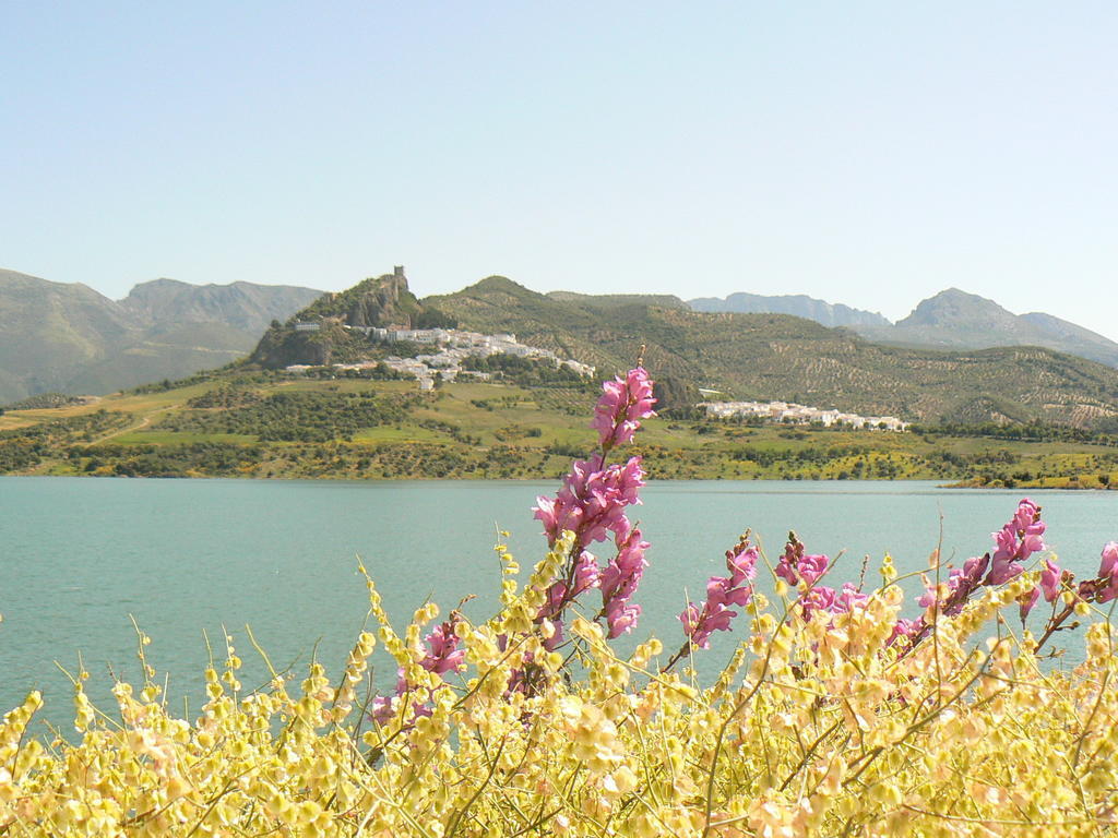 Casa Rural-Apartamento El Lebrillero Zahara De La Sierra Buitenkant foto